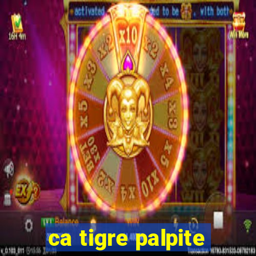 ca tigre palpite