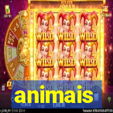 animais-pg.com