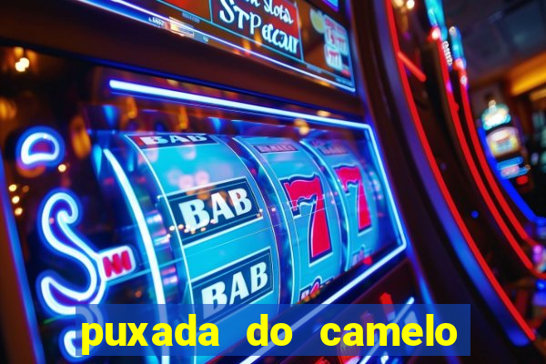 puxada do camelo jogo do bicho