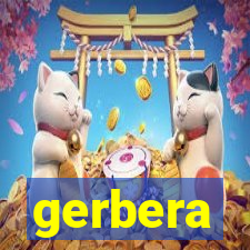 gerbera-dh.com